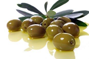 احداث باغ زيتون