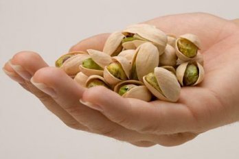 احداث باغ پسته